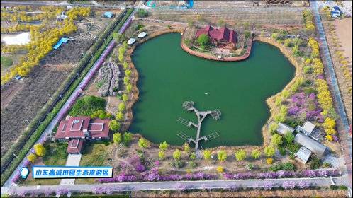 万亩农田玩出大花样!鑫诚田园把泥土地变成快乐“迪士尼”